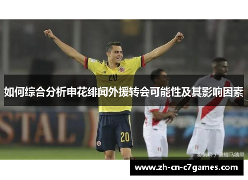 如何综合分析申花绯闻外援转会可能性及其影响因素